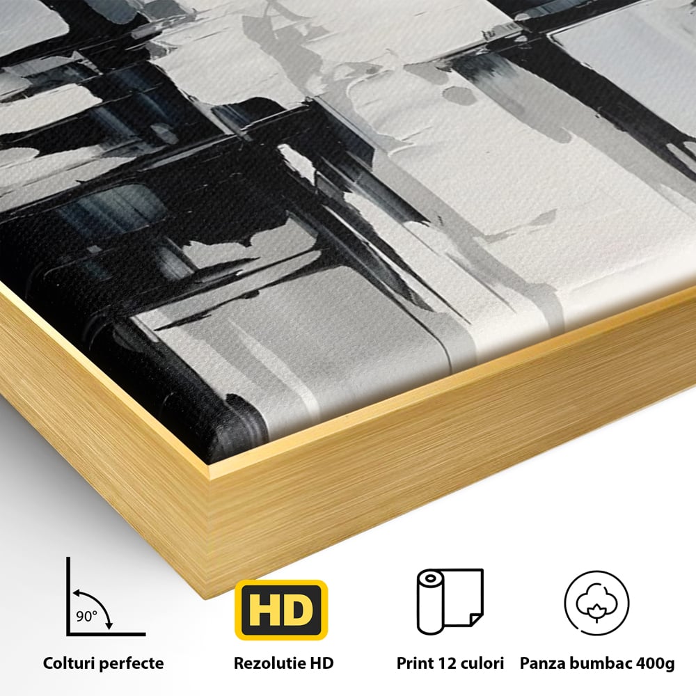 Detaliu al suprafetei: pictura abstracta alb-negru, in rama de aluminiu auriu